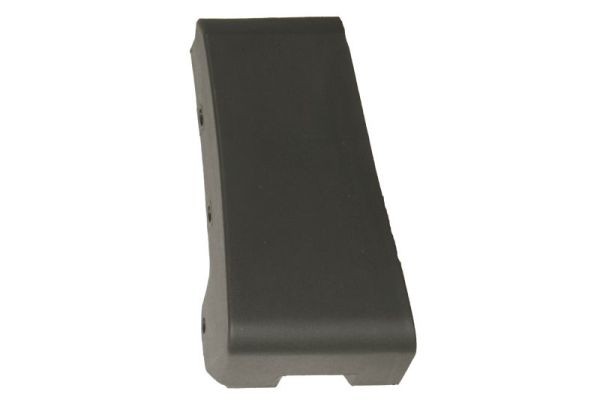 Left Front BLIC 5703-08-2598371P Trim/Protection Strip, wing for FORD USA