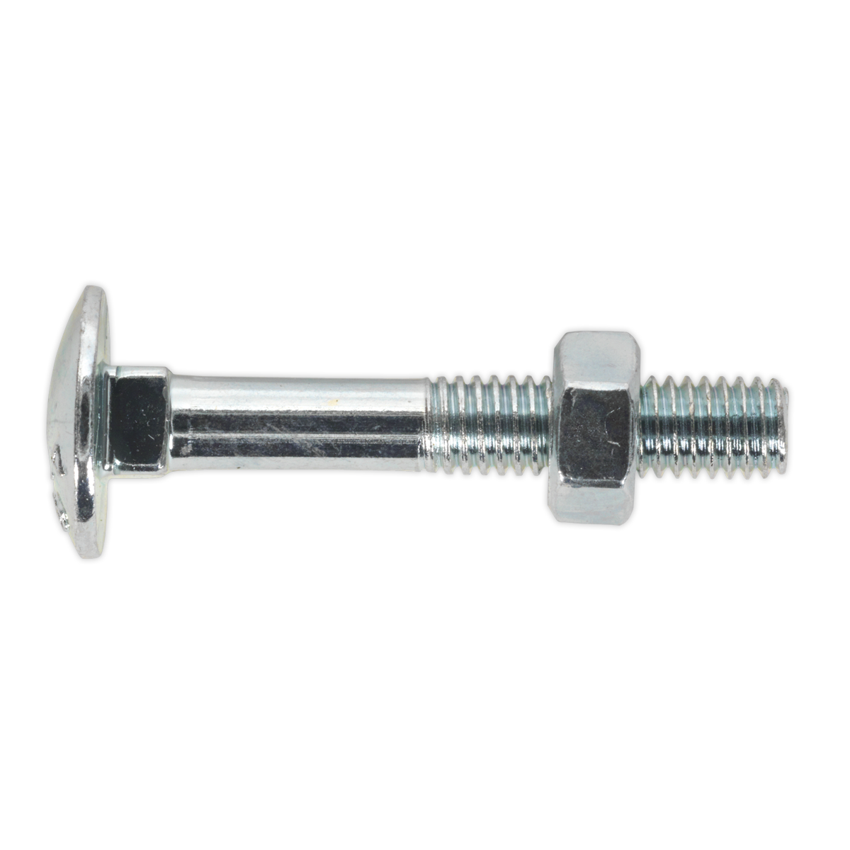 CBN640 Sealey Pack of 100 Coach Bolt & Nuts Size M6 x 40mm Zinc Plated Workshop