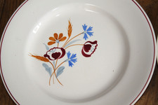 service 13 grandes assiettes plates anciennes comme neuves Salins Charbonnier