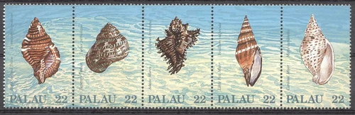 (167849) Shells, Palau