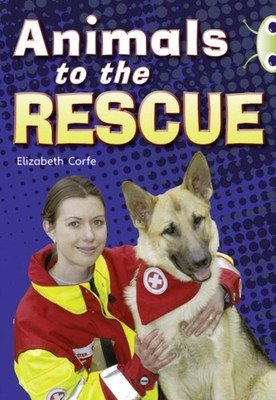 BUG CLUB GUIDED NON FICTION YEAR 2 GOLD by Elizabeth Corfe Paperback Self Help