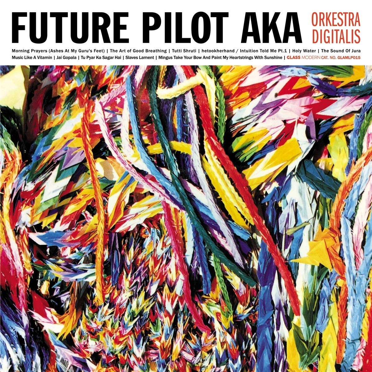 Future Pilot Aka Orkestra Digitalis LP Vinyl NEW
