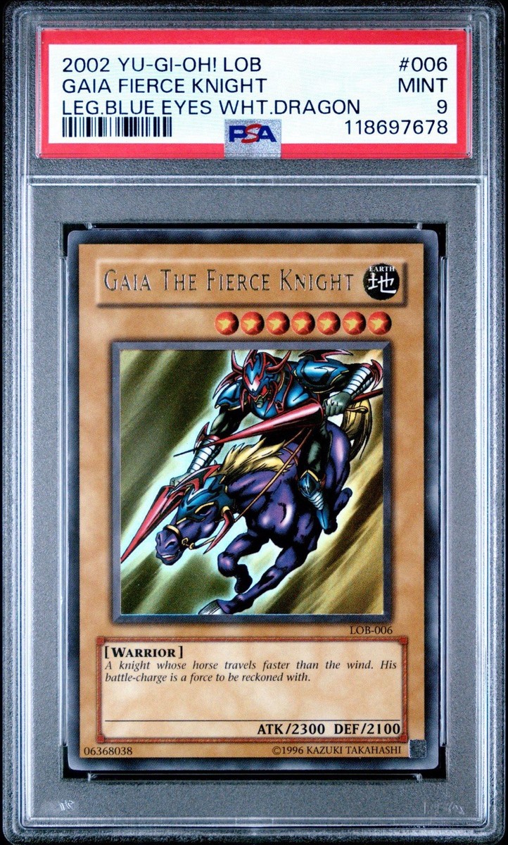 Ilkae イルカエ Bring Extra Dragons bring extra dragons | ilkae