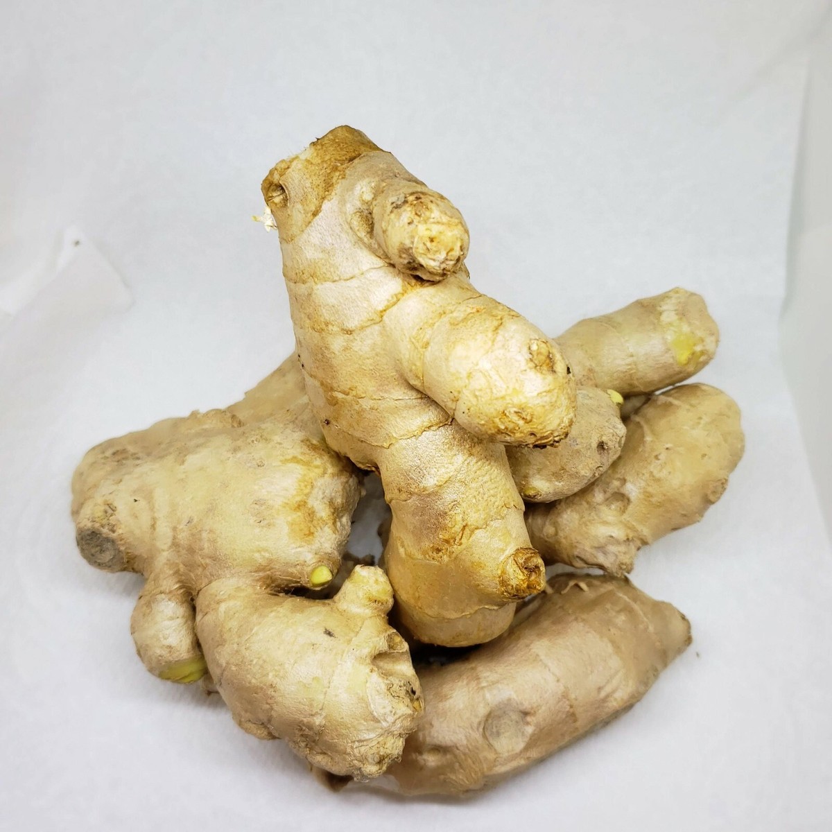 Fresh Ginger Root - 2 lbs. | eBay