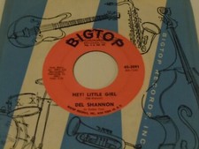 Del Shannon  45  Hey Little Girl   Bigtop
