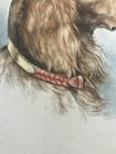 Bild 6 von 12