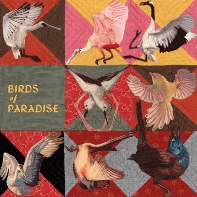 Thomas Dollbaum Birds of Paradise (Vinyl) 12'' Album