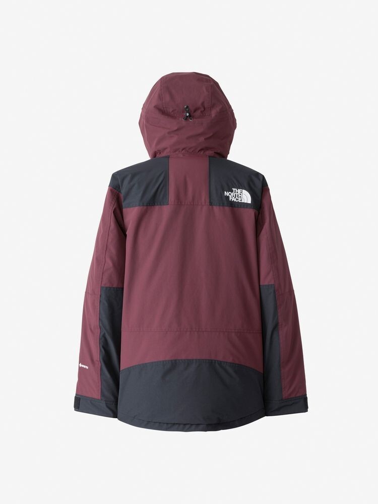 ASK availability First)THE NORTH FACE Mountain Down Jacket