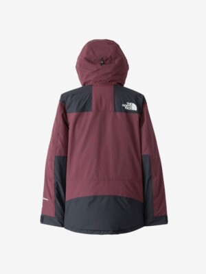 ASK availability First)THE NORTH FACE Mountain Down Jacket