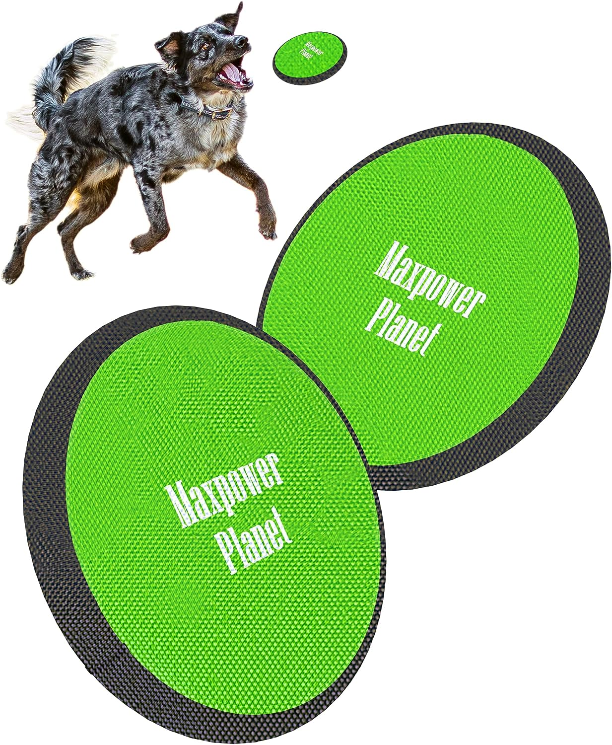 Dog Frisbee X2 Pack - Dog Frisbee Soft to Catch - Floating Frisbee for Dogs - L