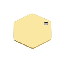 Size Custom Engraved Pet ID Tag with Name, Phone Number, and Address small