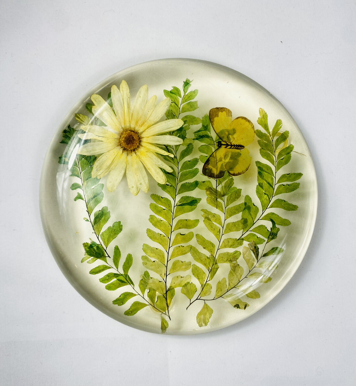 Vintage Lucite Pressed Flowers Trivet eBay
