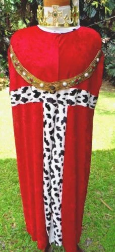 Disguise Fairy Tale Unisex Costumes