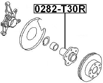 Ступица заднего колеса без подшипника FEBEST 0282-T30R OEM 43202-AG000 G35 350z M45 X-Trail - Изображение 2 из 3