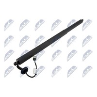 NTY AE-FR-065 Gasfeder, Koffer-/Laderaum