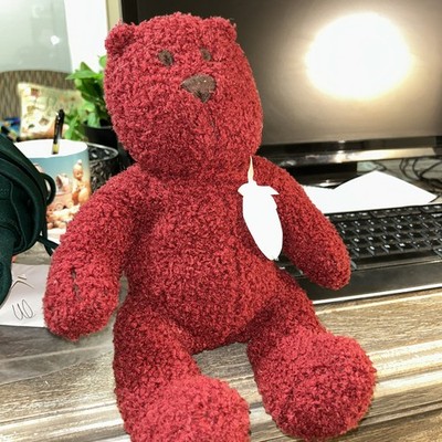 Baby GAP Brannan Teddy Bear Red  12'' Soft Plush Stuffed Animal Lovey Toy 2001