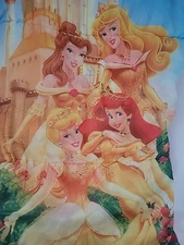 Disney Princess's Child Sleeping Bag RARE playhut