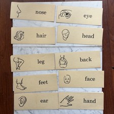VTG 1940  s Spelling Word Children  s Flashcards Body Parts Illustrated Doubleside