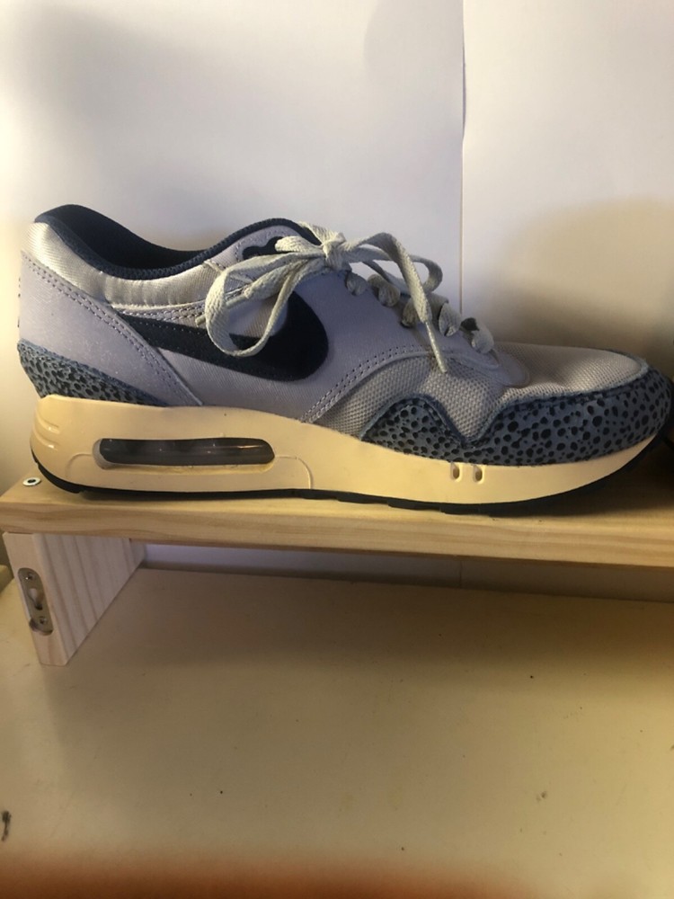 Nike Air Max 1 Blue Mens DV7525-001