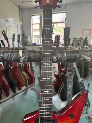 Hot Sale Factory Customized 6strings Washburn Dimebag 