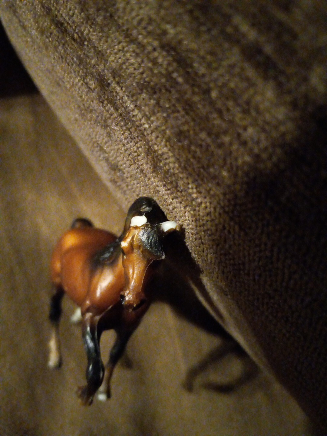 Picture 4 of 5