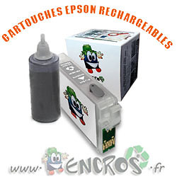 Cartouche rechargeable EPSON T0967 gris clair pour imprimante Stylus Photo