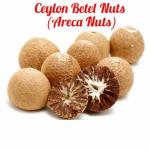Betel Nut Dried Areca Nut Organic Ceylon Nut Free Shipping Ebay