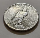 1925 Peace Silver Dollar • Circulated • Strong Reverse Details • 90% Silver X165