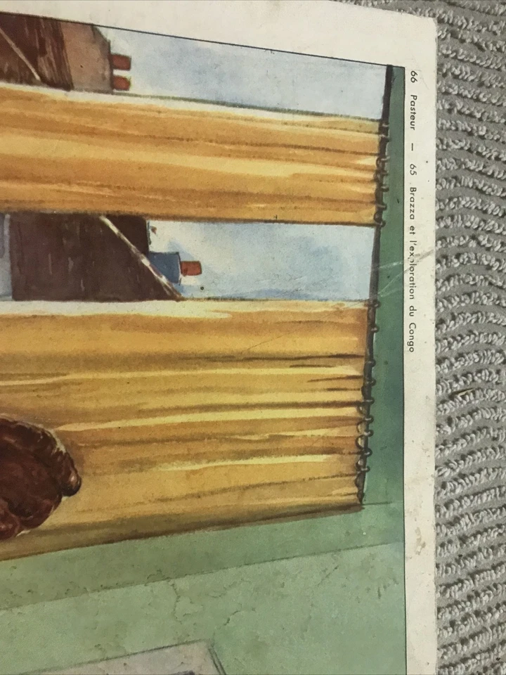 Carte scolaire Pédagogique Rossignol 76x56 Cm Histoire  Pasteur - Photo 3/4