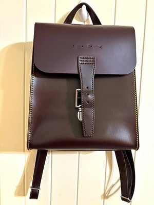 Dr. Martens Women's Mini Backpack Dark Brown Buckle Flap Top Handle Silver
