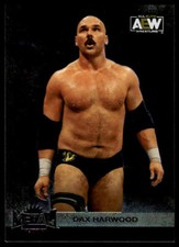 2022 SkyBox Metal Universe AEW Dax Harwood #85