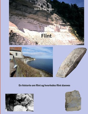 Nick B. Svendsen | Flint | Taschenbuch | Dänisch (2023) | Books on Demand GmbH