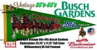 Rare Vintage Busch Gardens Clydesdales 29" Green Williamsburg VA Felt Pennant — photo 1
