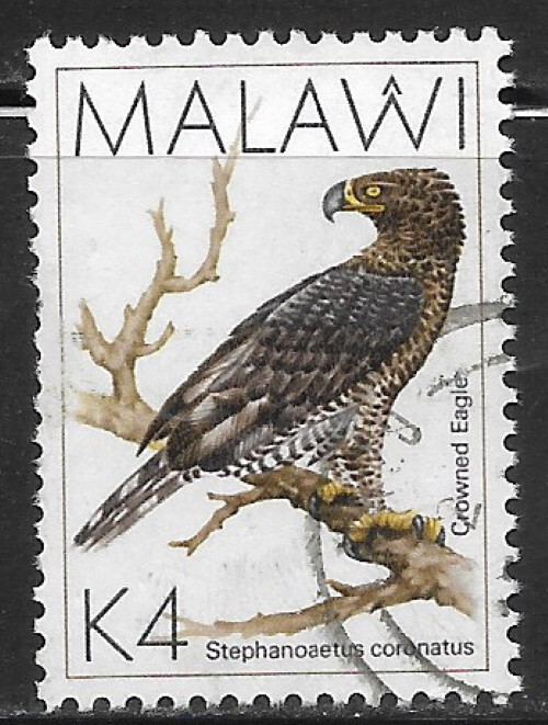 Malawi, used, #532, 4k Crowned Eagle, Issued 1988, CV = $3.75