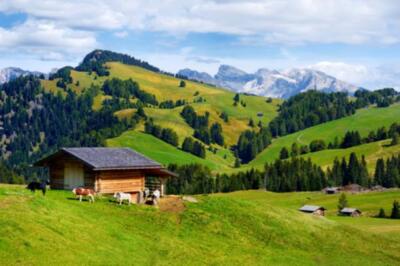Wandbild: Seiser Alm, die größte Hochalm Europas, im Hintergrund [...]