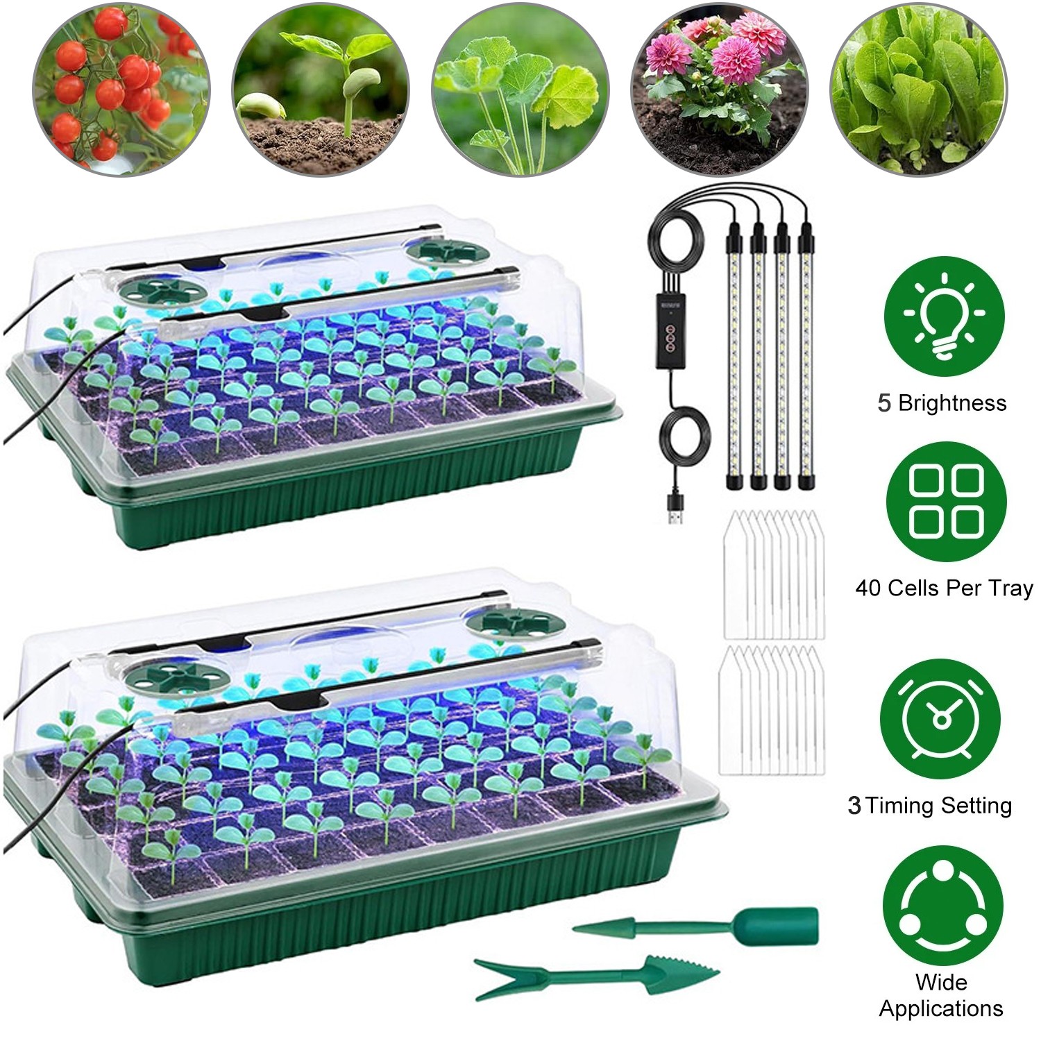 Seed Starter Tray with Grow Light, 2 Packs 80 Cells Seed Sta