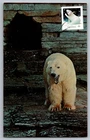 Canada 2017 Christmas Polar Bear FDC Maxi Card