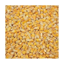 WHOLE MAIZE - Poultry, Waterfowl, Horse, Livestock Feed or Fishing Bait 25kg 0.96 per kilo