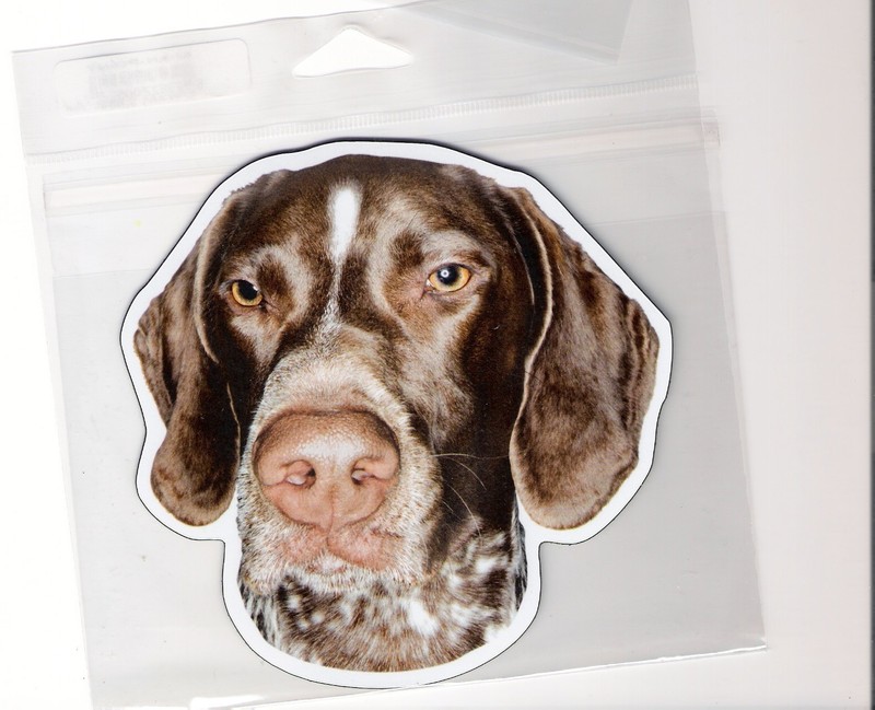 German Short Hair Pointer  4 inch face magnet for car or anything metal     New