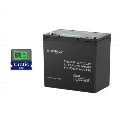 Renogy 12V 100Ah LiFePO4 Lithium Batterie Akku Solarbatterie Solaranlage Boot RV