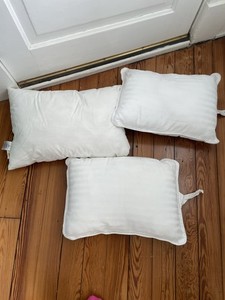 Lot of 3 Toddler Sized Pillows Coordinating Pillow Cases