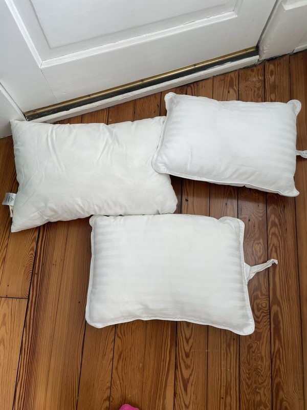 Lot of 3 Toddler Sized Pillows Coordinating Pillow Cases