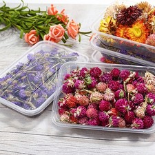 Vielseitige Handwerker essentielle getrocknete Blumenbox f&uuml;r Harzherstellung Ke