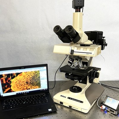 Nikon Optiphot 2  EFD3 LED Fluorescence Microscope CAM+ Guarantee
