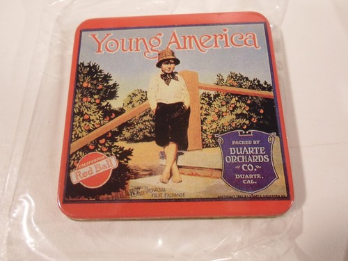 Tin Magnets Refrigerator Golf La Canada Fruit Couttie Sons Madeira Young America - Picture 2 of 5