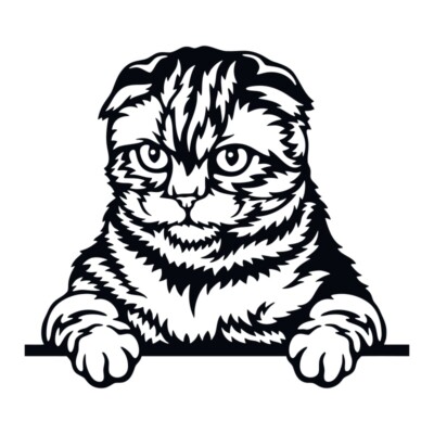 Schottische Faltung Katze Peeking Gesicht Vinyl Aufkleber Aufkleber Kunst Wand Zuhause verschiedene Farben