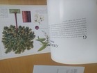 Bild 12 von 16