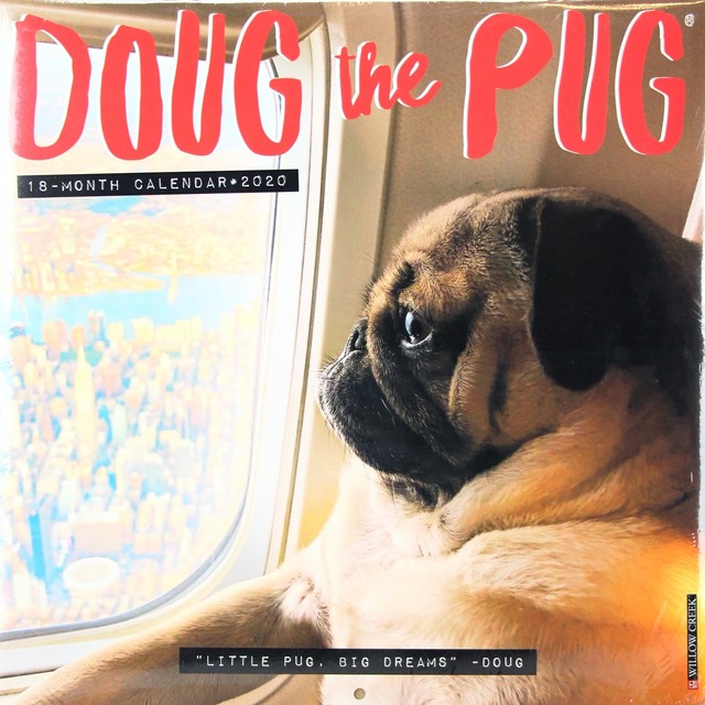 2020 Doug The Pug Wall Calendar 12" x 12" | eBay