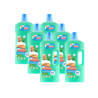 6 x Meister Proper Frühlingserwachen - leistungsstarker Allzweckreiniger 6 x 2L