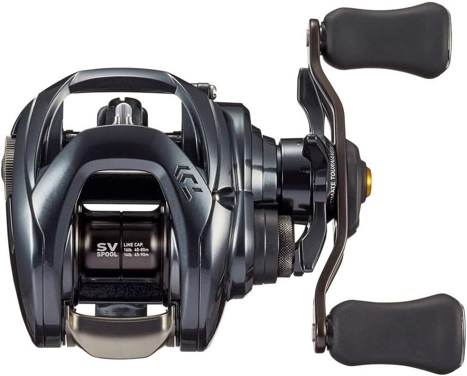 Daiwa 20 TATULA SV TW 103H Casting Reel 6.3 Right Handle Japan | eBay
